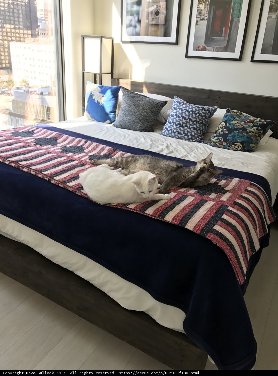 Feline Friends on a Cozy Bed