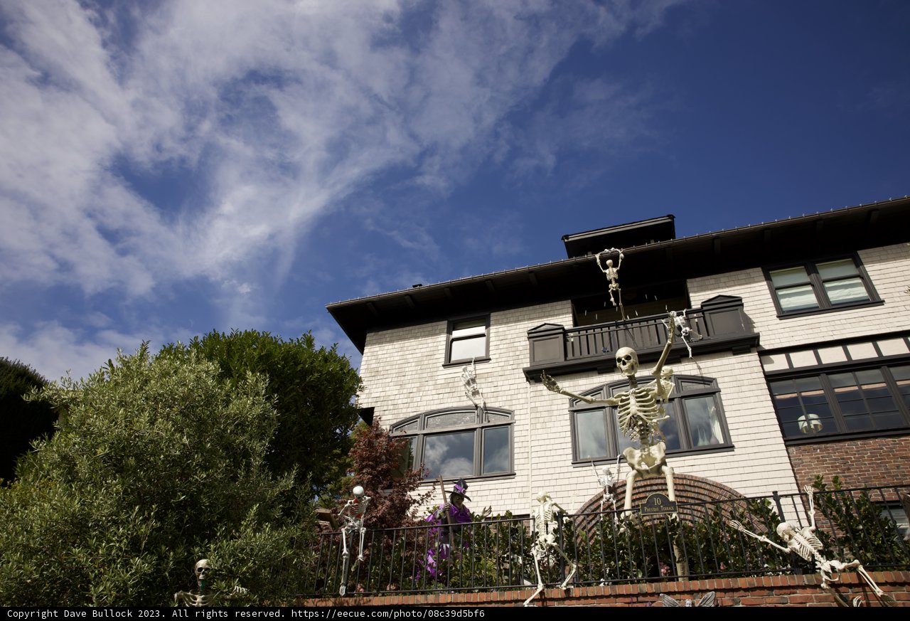 The Majestic White House of San Francisco
