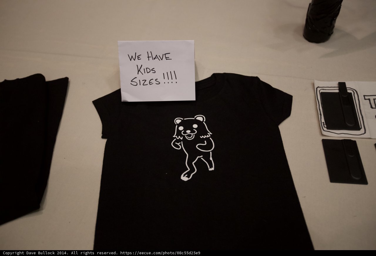 Cute Bear T-Shirt Display