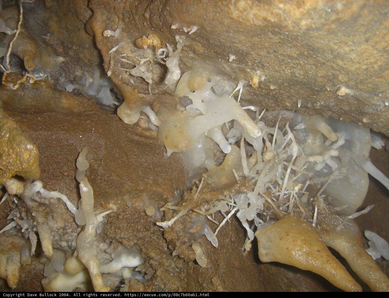 Cave Treats