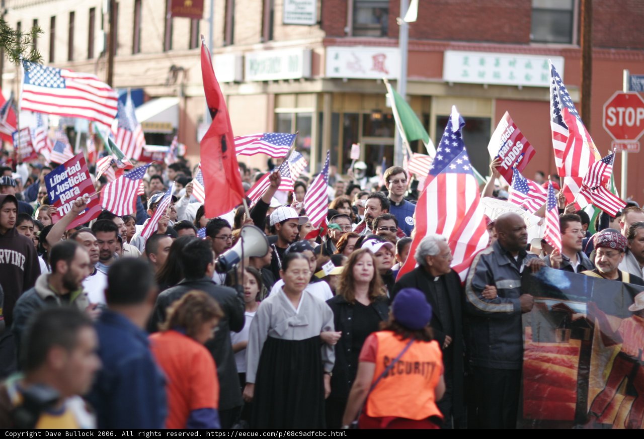 Patriotic Crowd