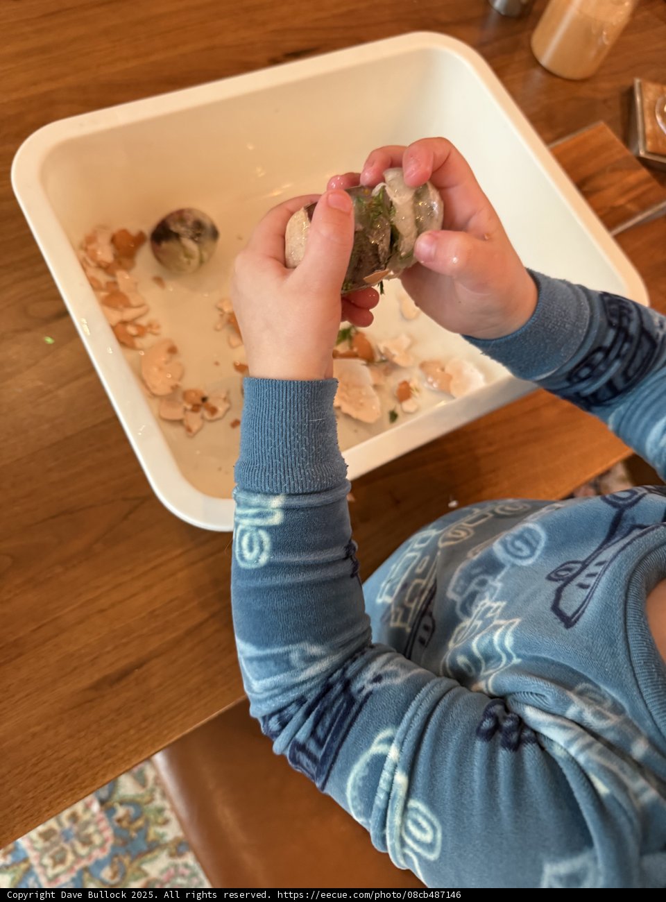 Tiny Hands, Big Discoveries