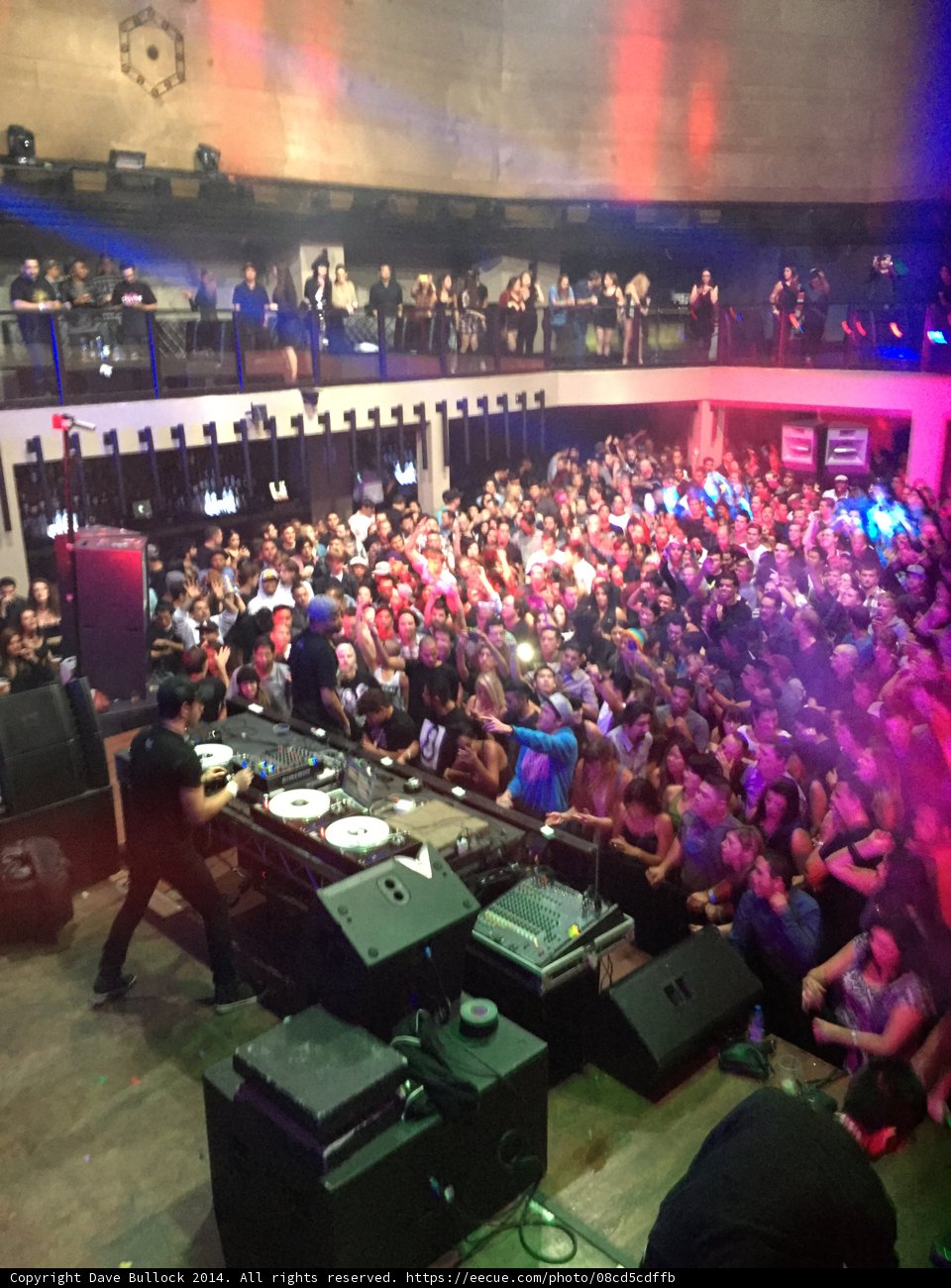 Nightlife Madness