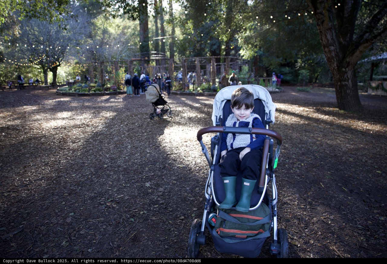 Wesley's Autumn Day at Thistlewyck Grove, Filoli