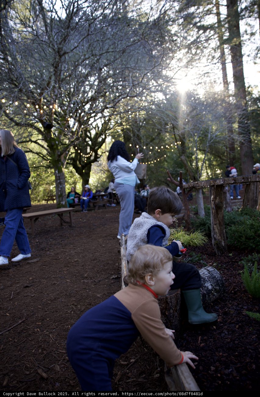 Autumn Adventures at Thistlewyck