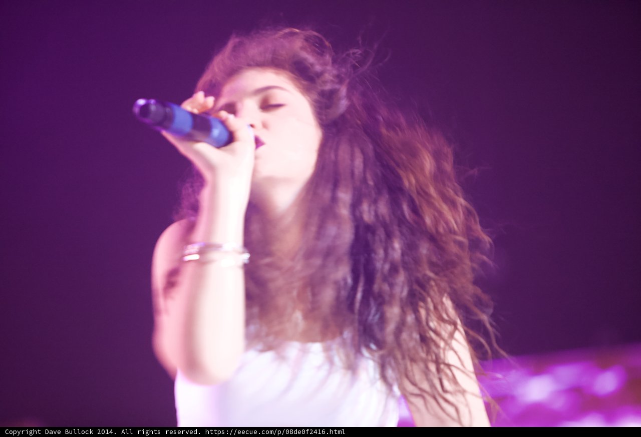 Soulful Serenade at Coachella