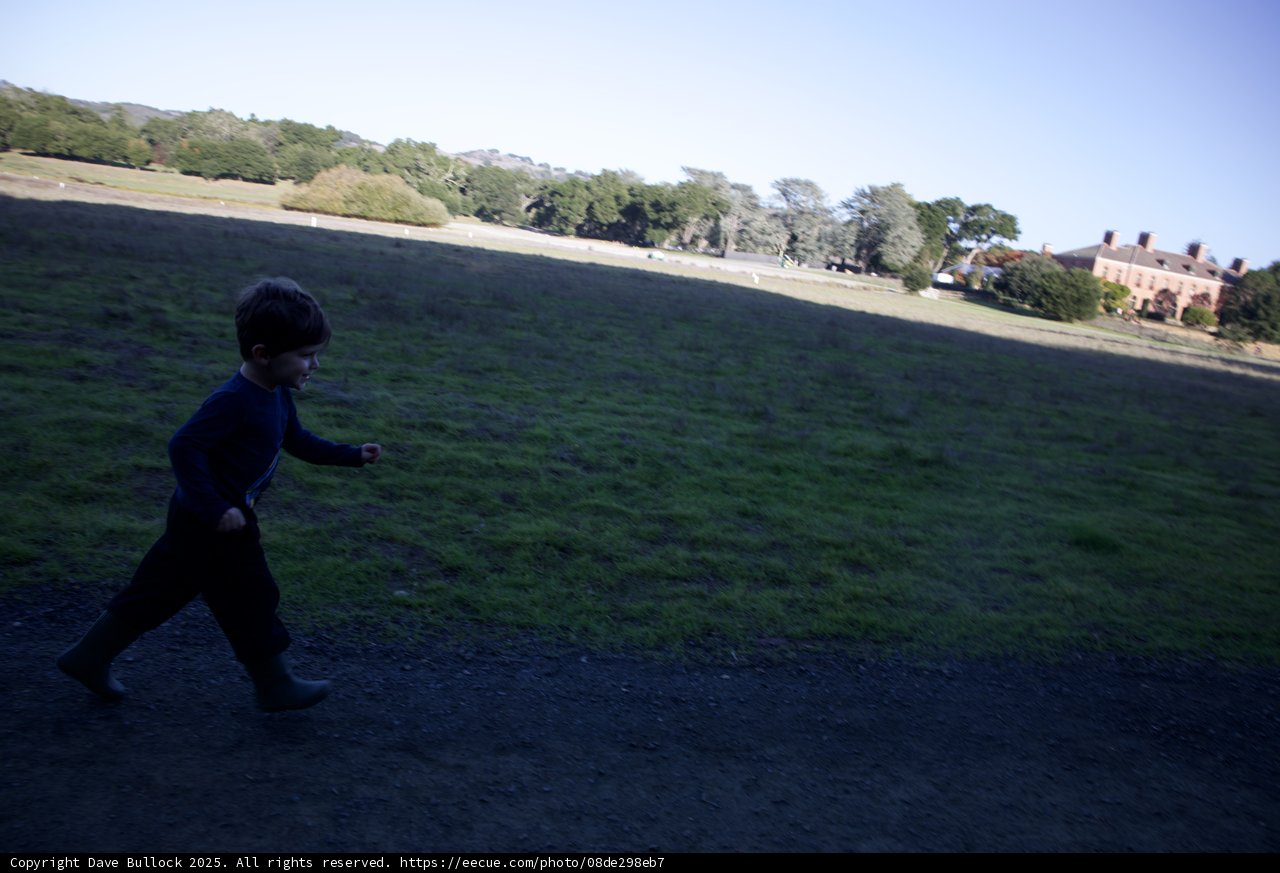 Joyful Sprint on the Filoli Lawn