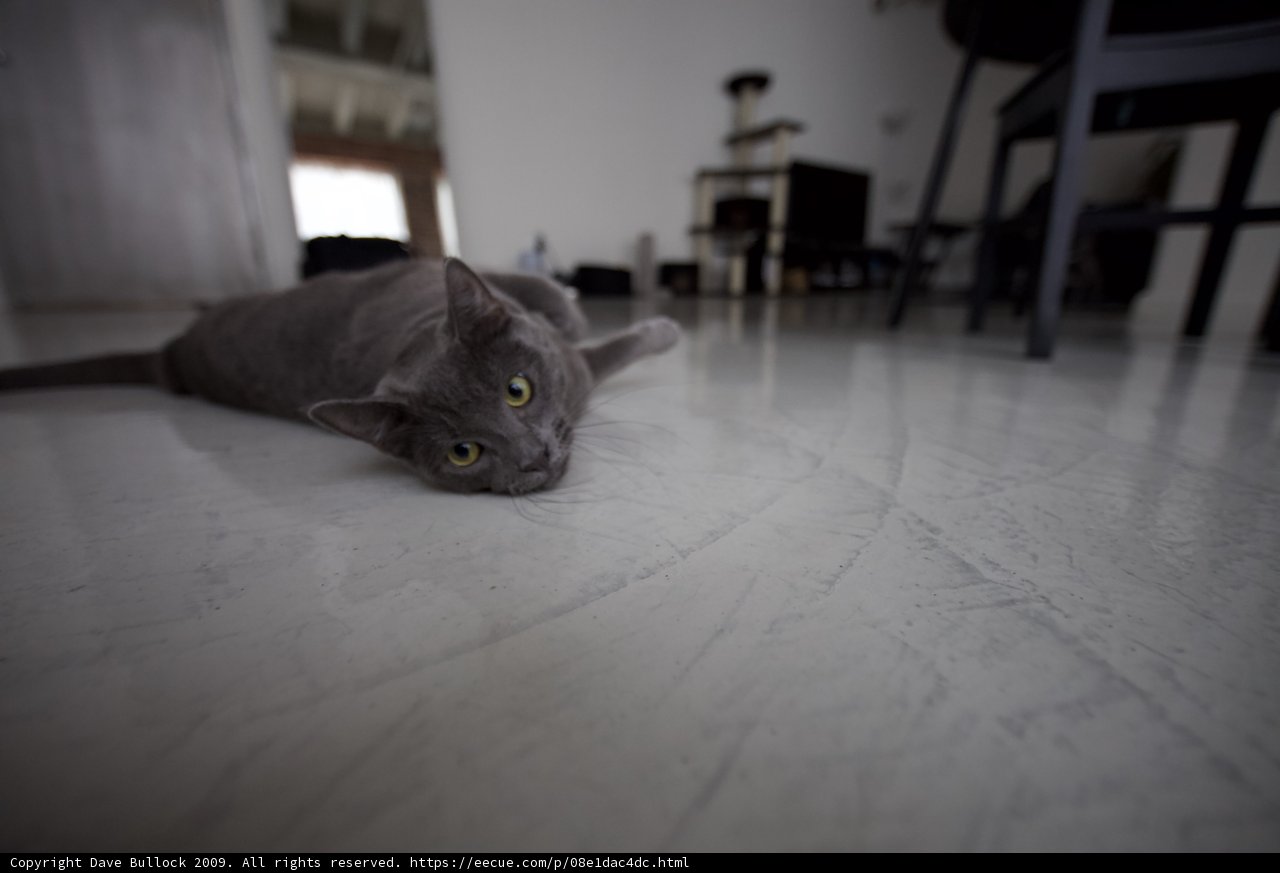 The Lazy Manx
