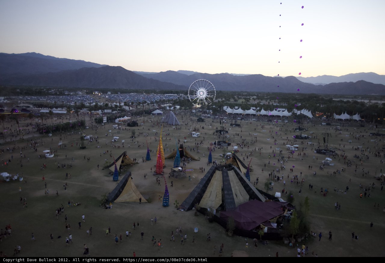 Festival Fever