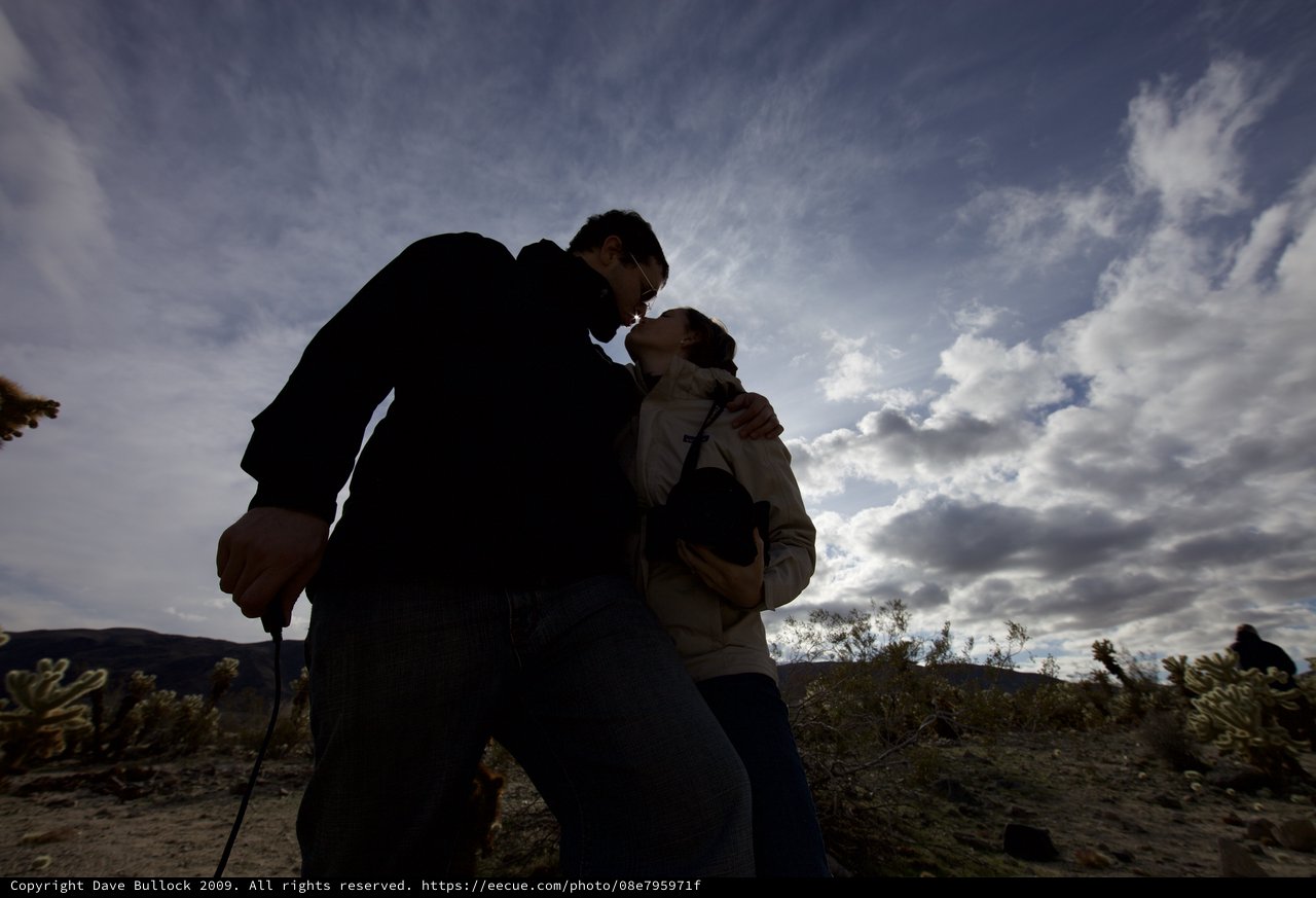 Desert Romance: A Kiss Among the Cholla Cacti