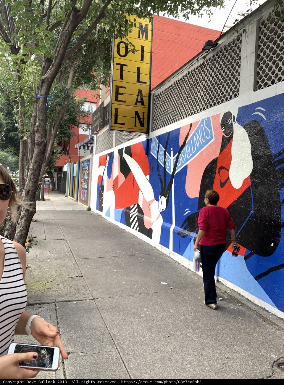 Capturing the Vibrant Mural