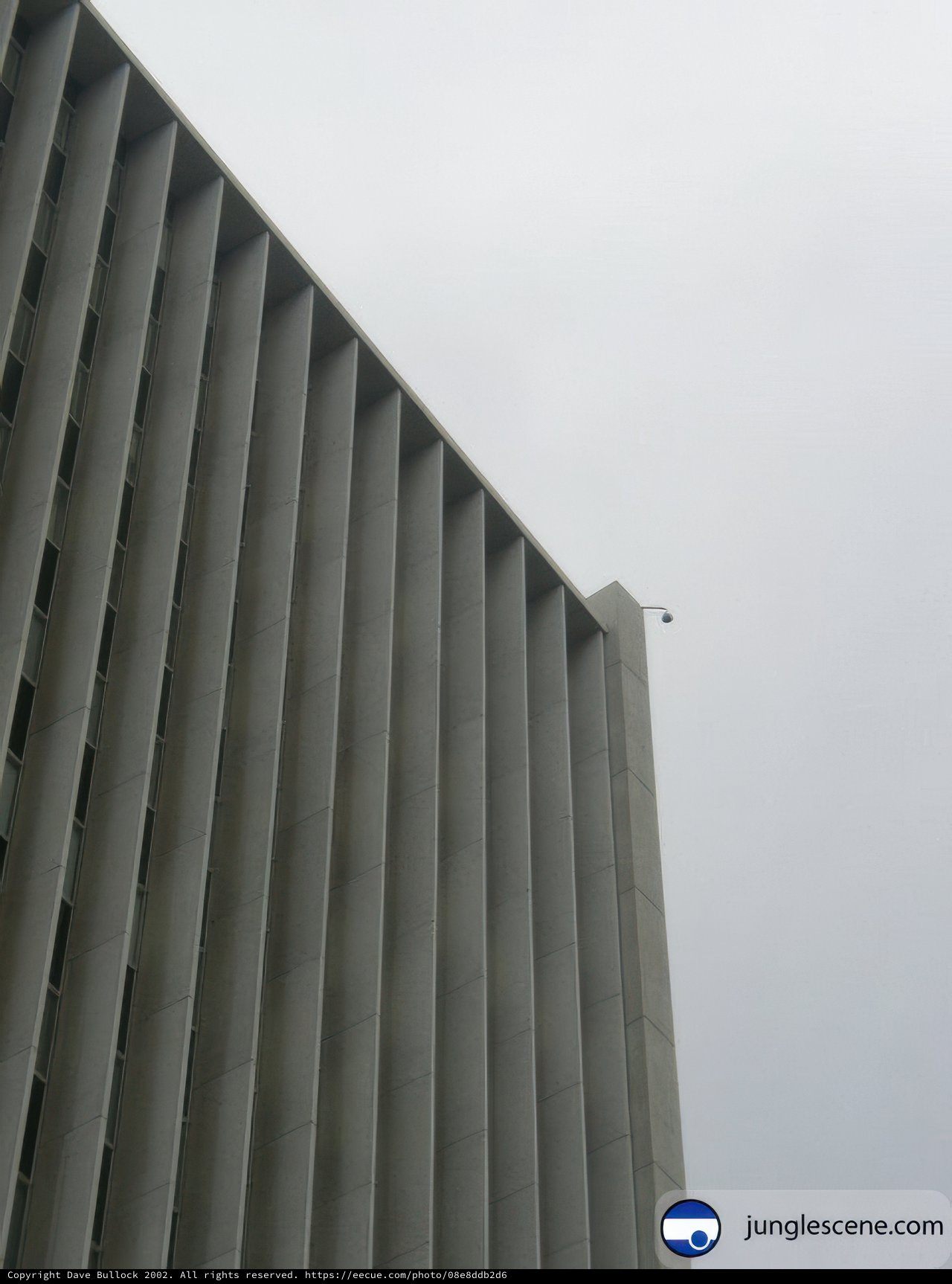 Urban Avian Adventure
