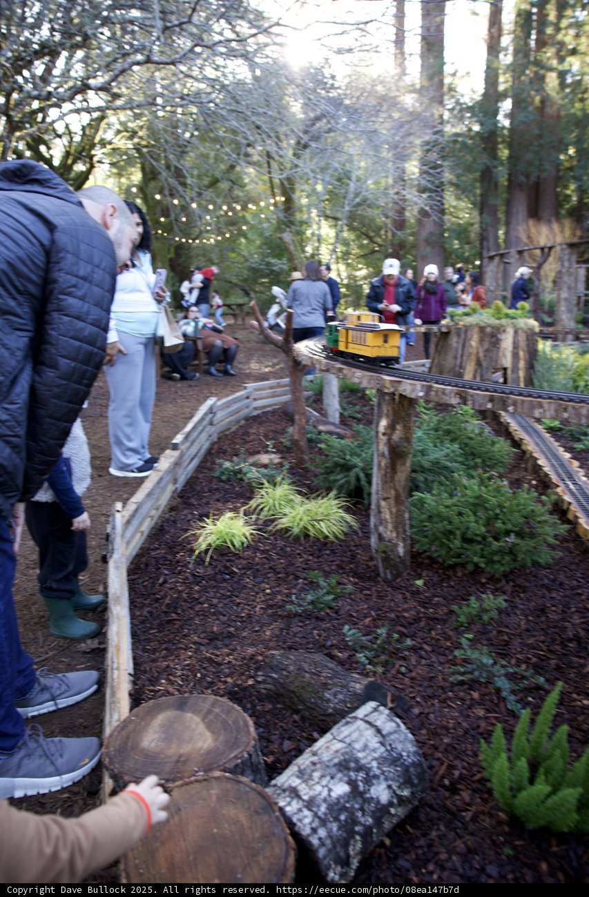 Woodland Adventure at Thistlewyck