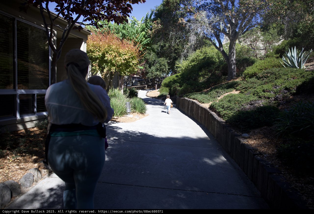 A Stroll Through Carmel's Beauty