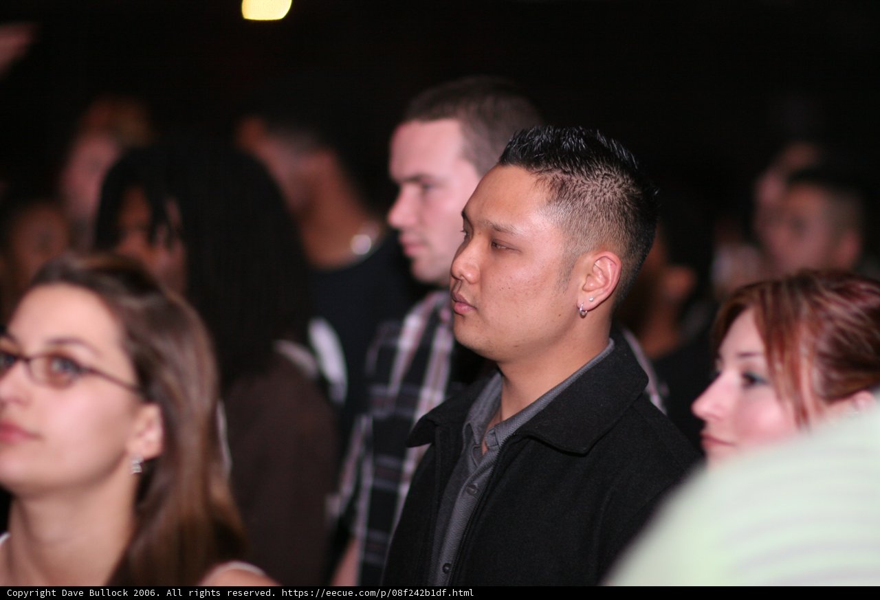 Lost in the Crowd