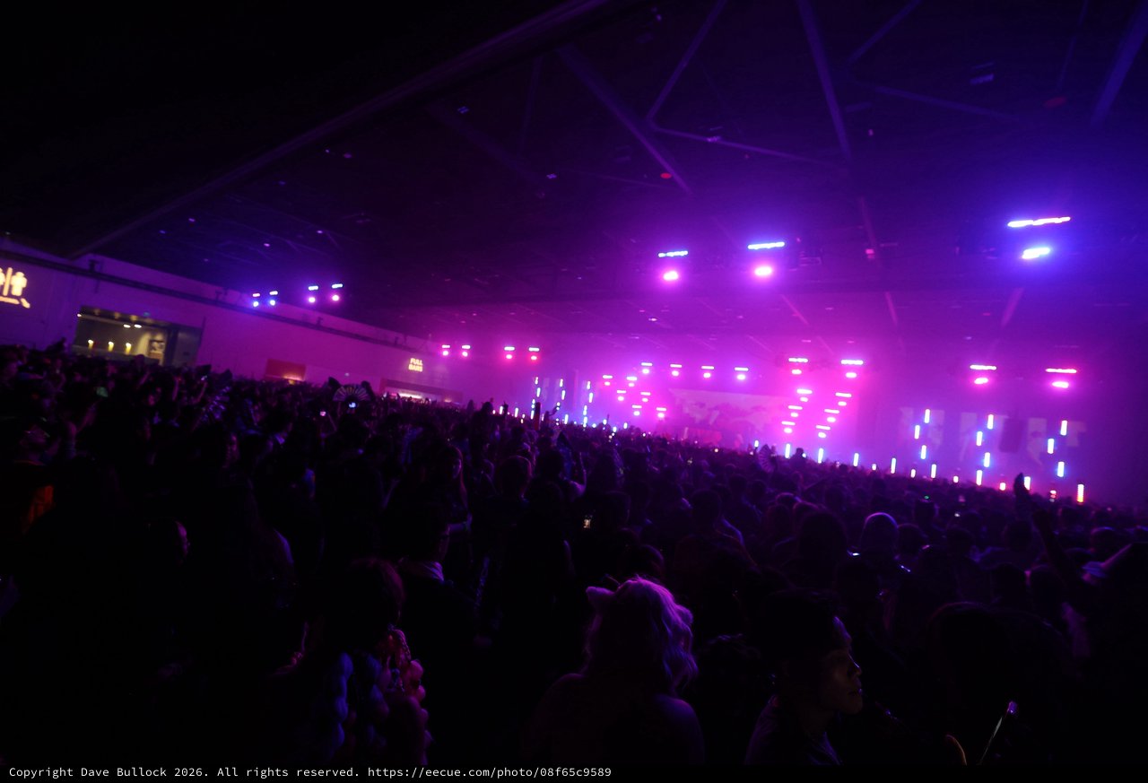 Massive Indoor Crowd Bathed in Purple Concert Lights