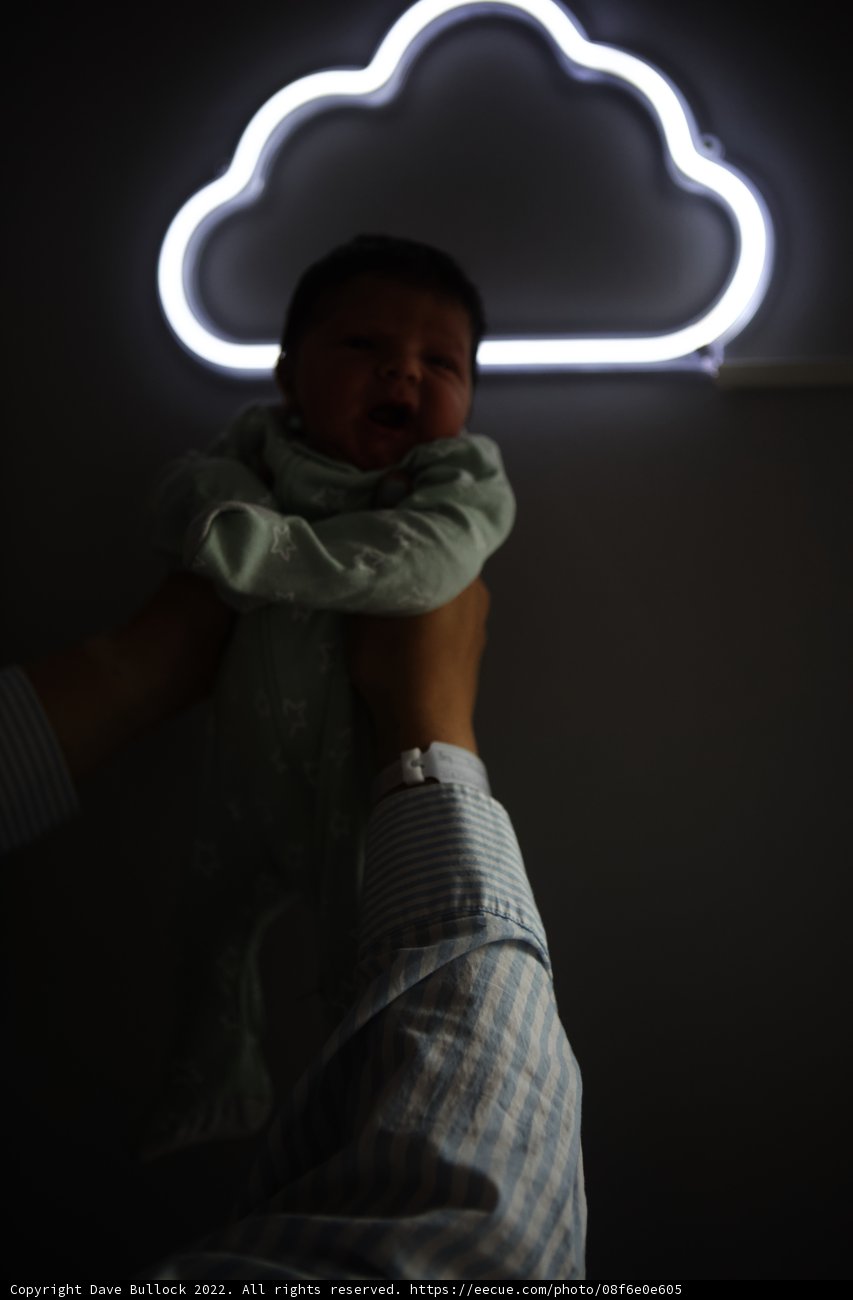 Little Wesley's First Portrait