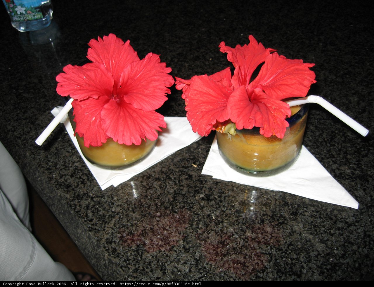 A Floral Touch to Our Refreshments