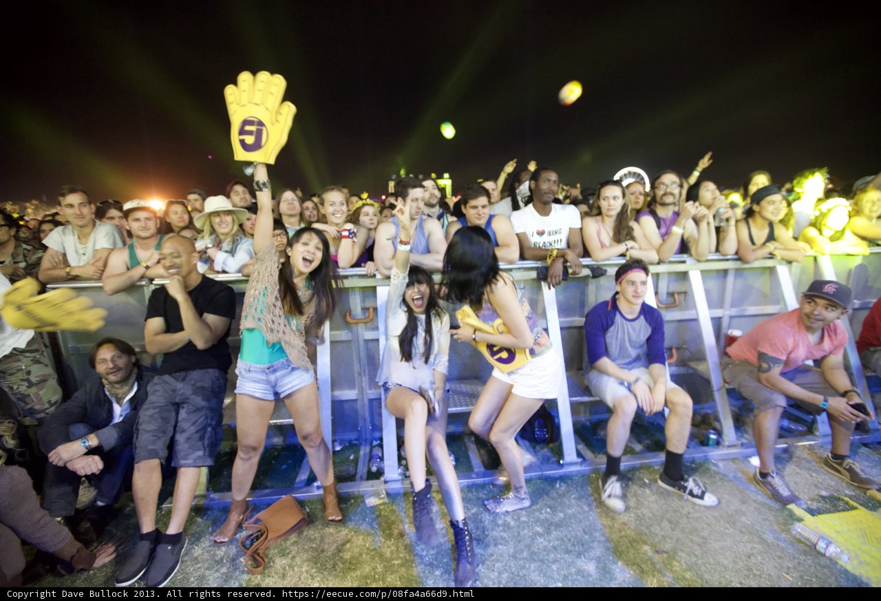 Night Sky Concert Crowd