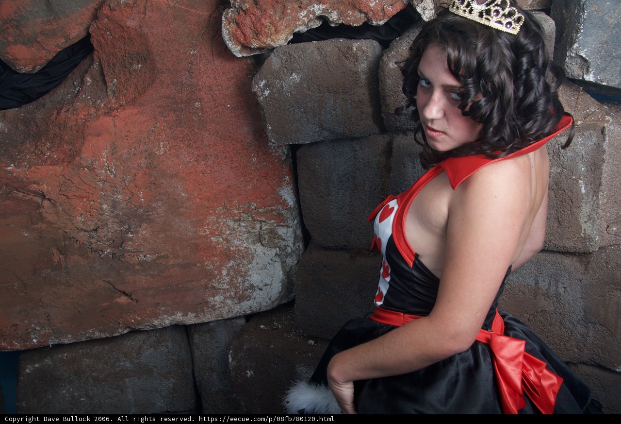 Red and Black Evening Dress