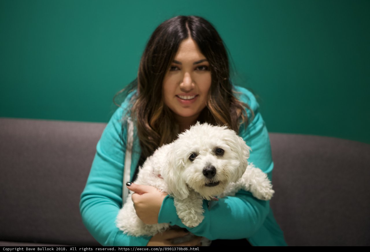 Woman and her Bichon Poodle