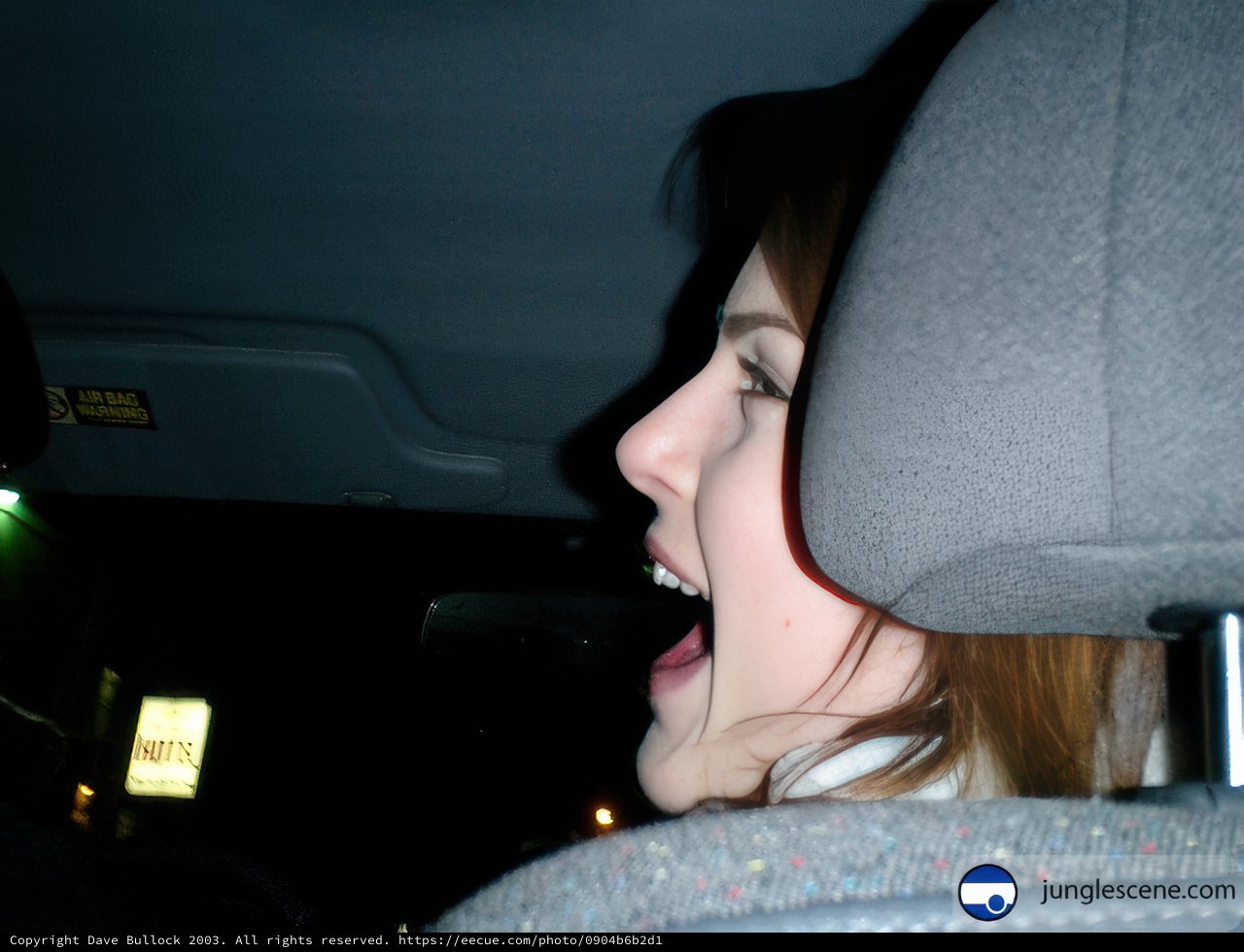The Agony of a Car Ride