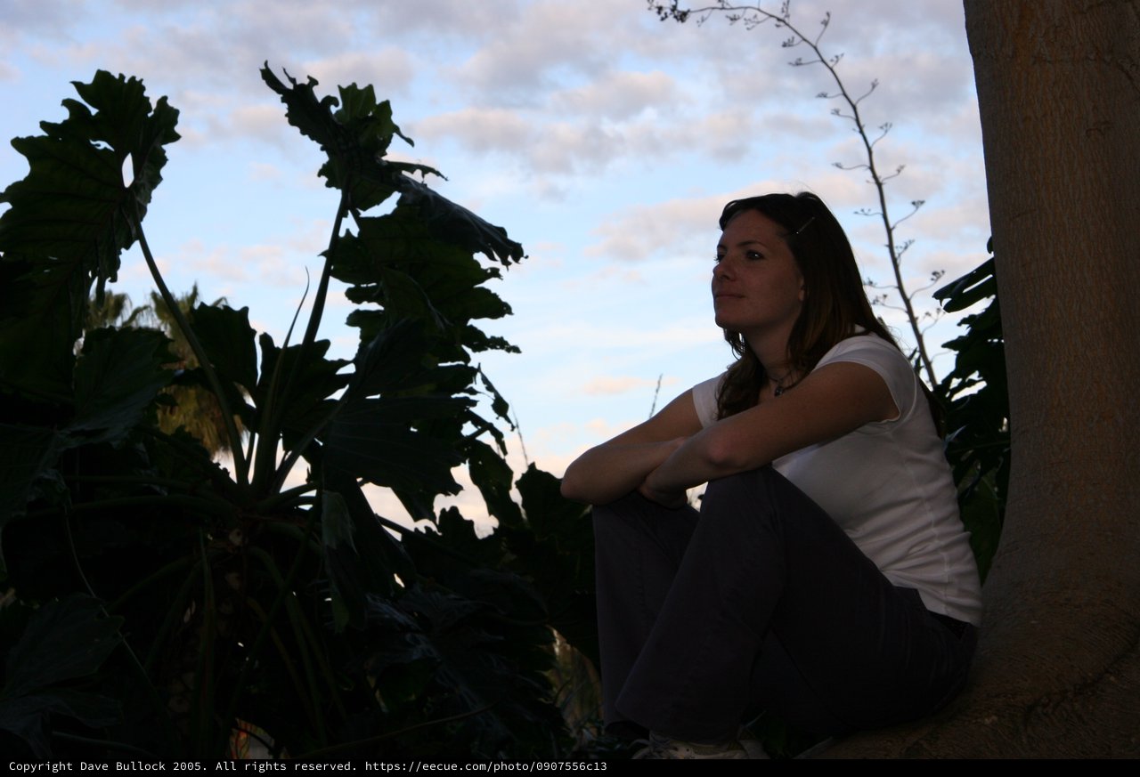 Woman Contemplating at Dusk Among Tropical Foliage