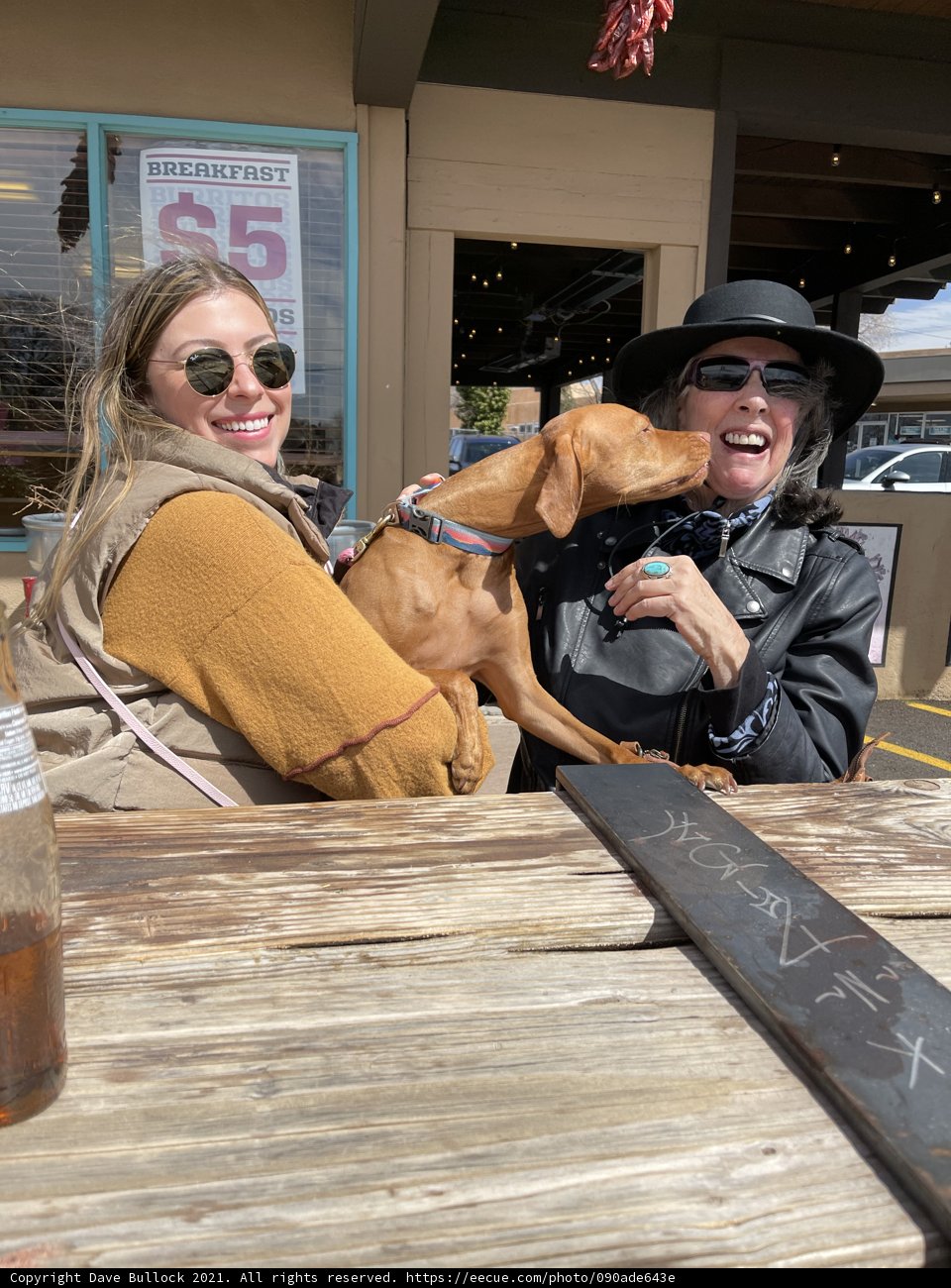 Two Women and Their Trusty Companion