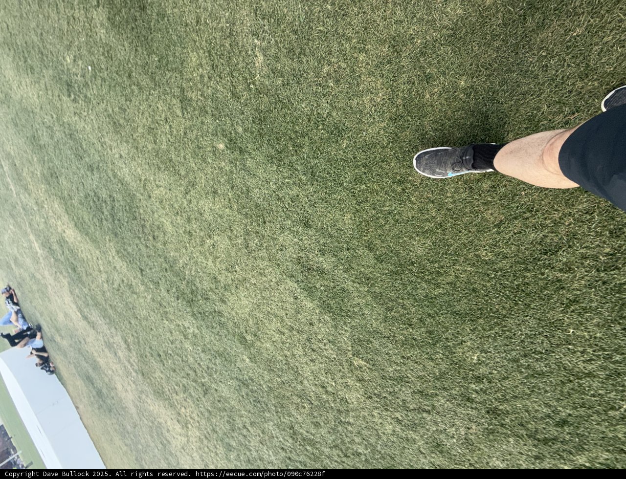 Strolling Over Spring Turf
