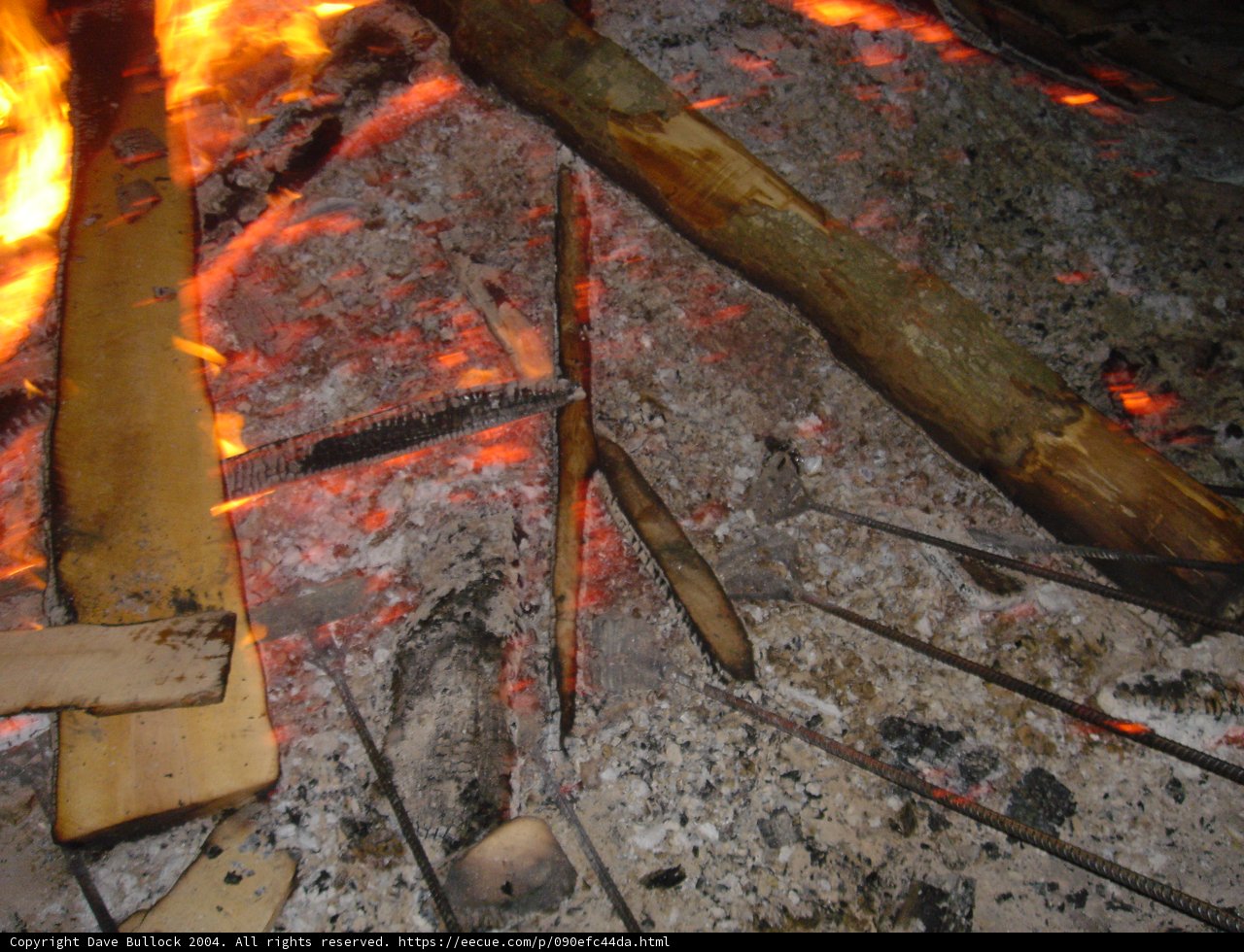 Blaze in the Woodpile
