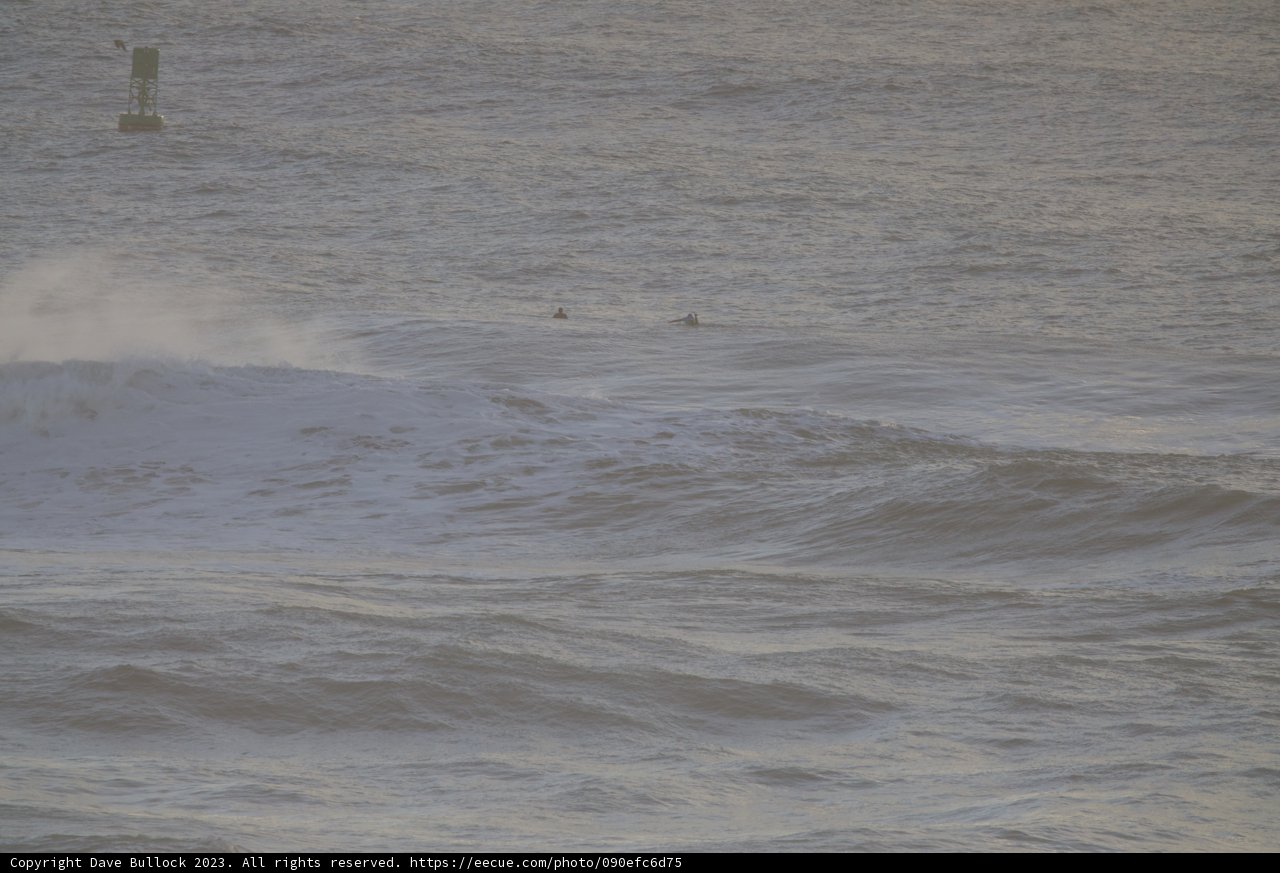 Riding the Majestic Pacifica Wave