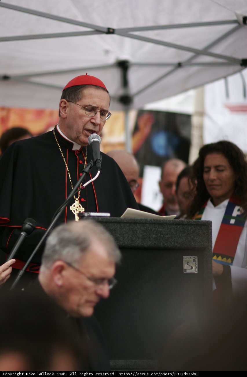 Red-Hatted Bishop Addresses Crowd at Podium
