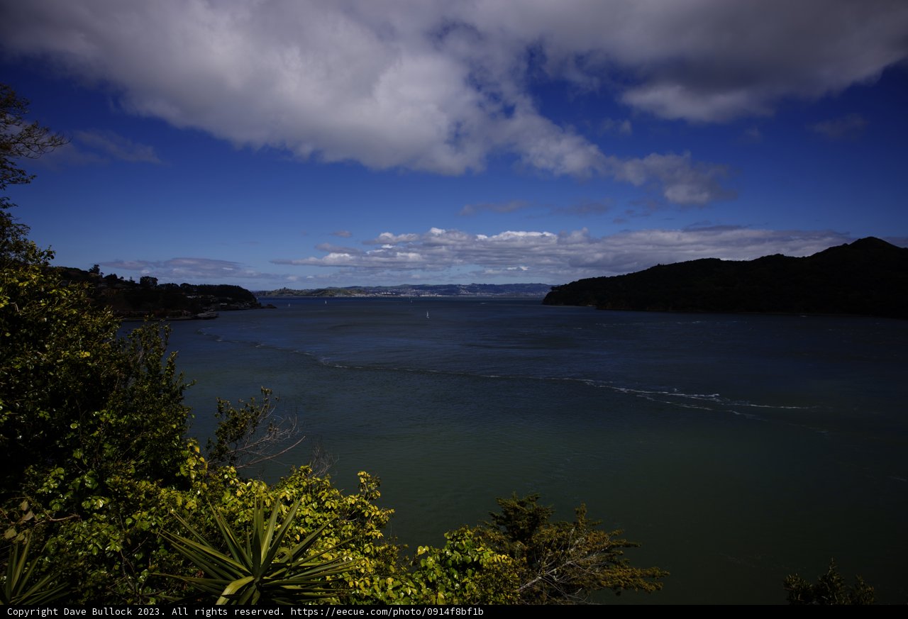 Enchanting Bay View from Tiburon Hillside