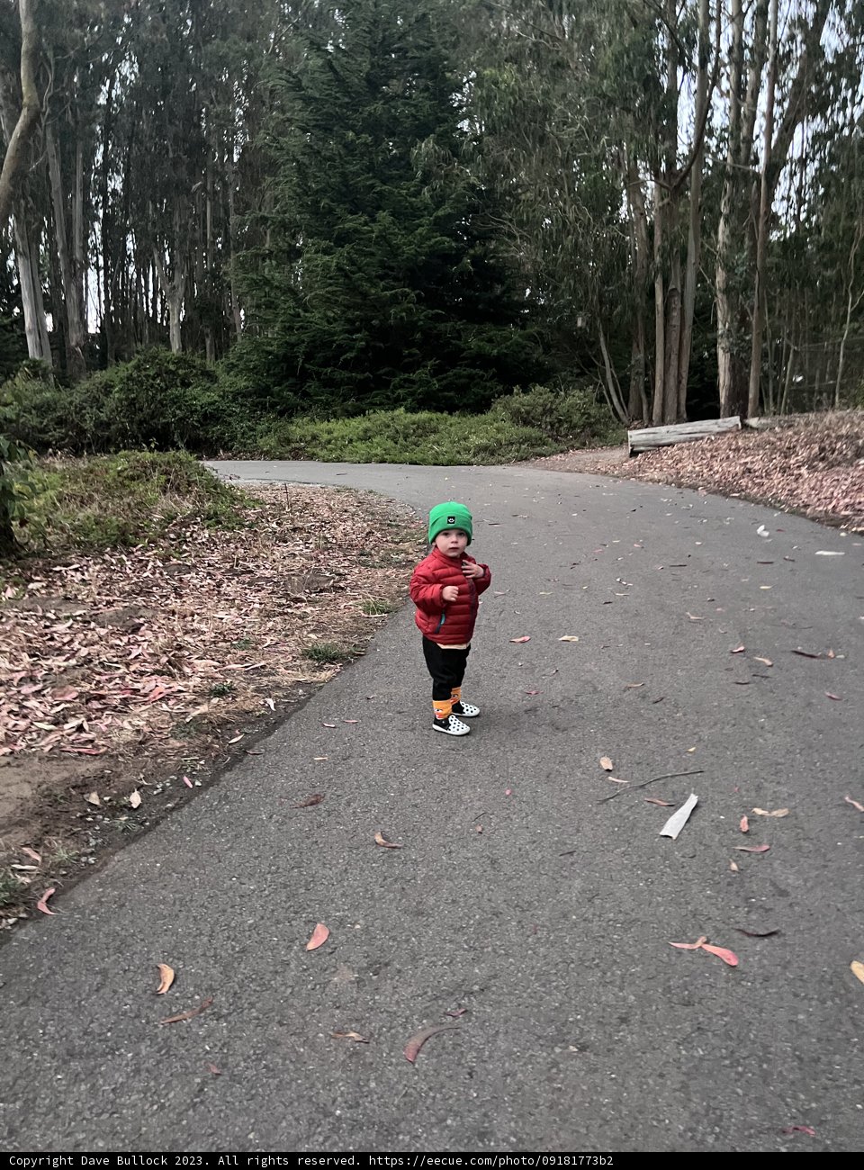 Skateboarding Through the Presidio