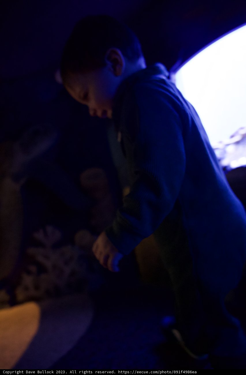 Neon Nights at the Monterey Bay Aquarium
