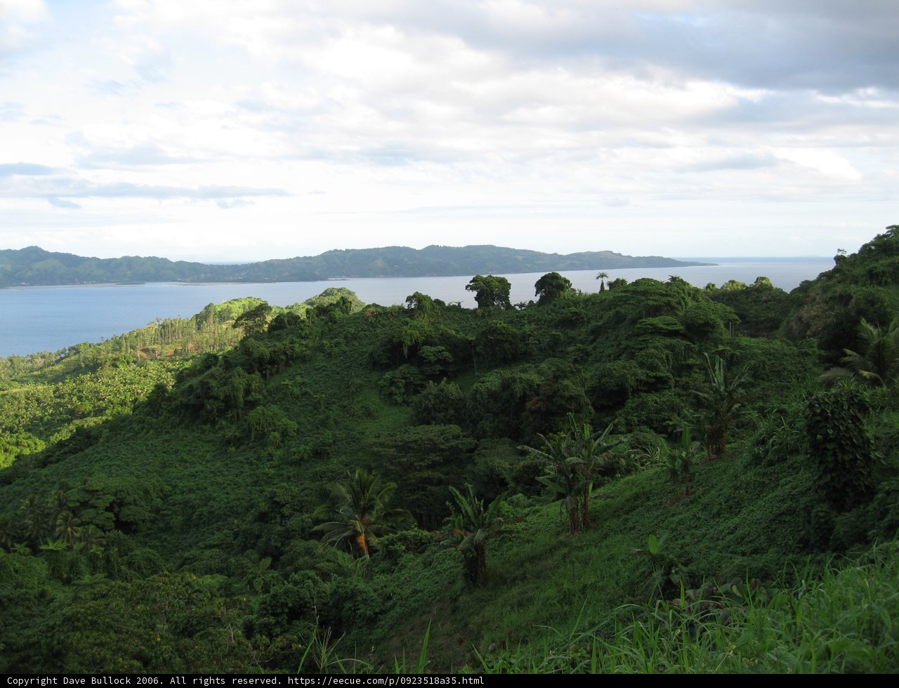 Serene View of Lush Green Hillside and Water Body