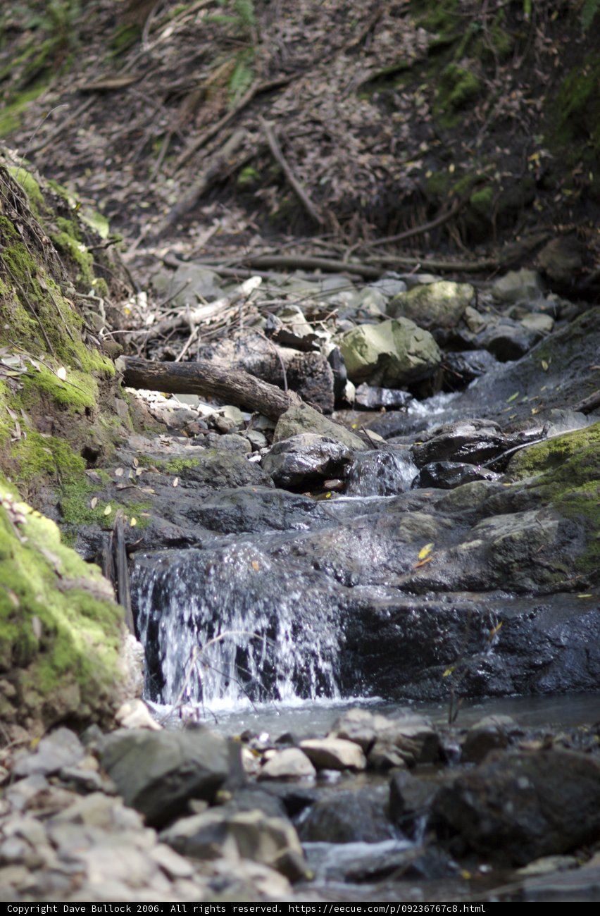 Tranquil Waters