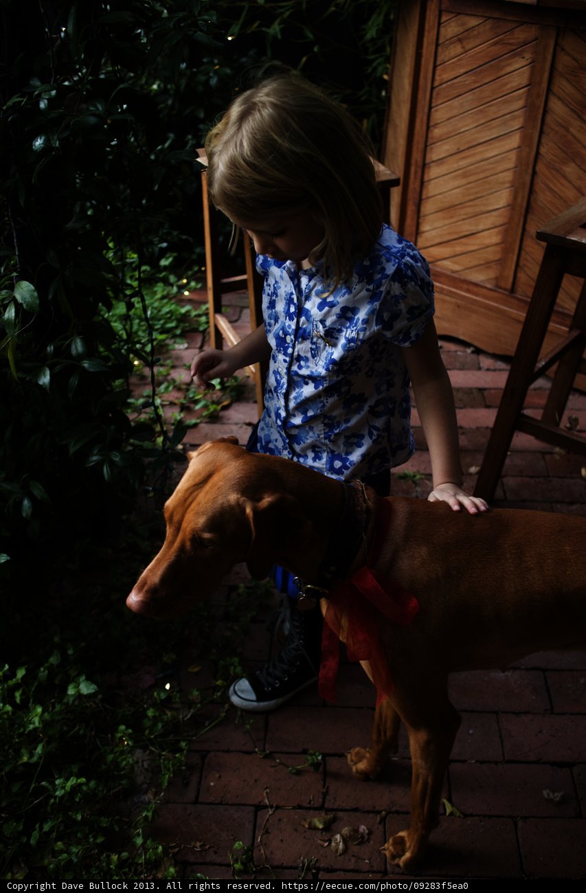 Girl and Dog on Herbal Walkway