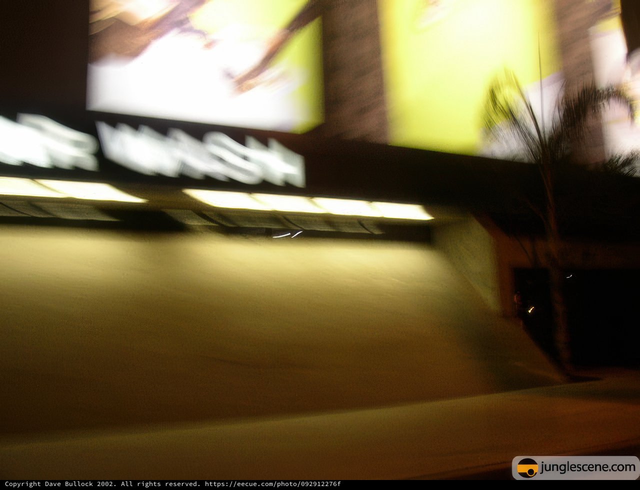 Blurry Skateboarder Riding Through the Night