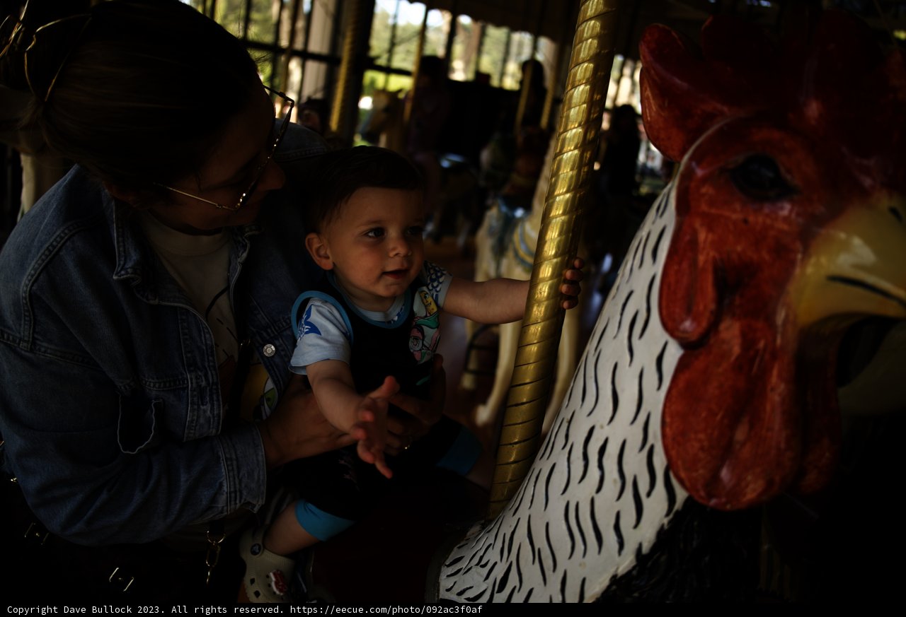 Cherished Carousel Moments at Golden Gate Park