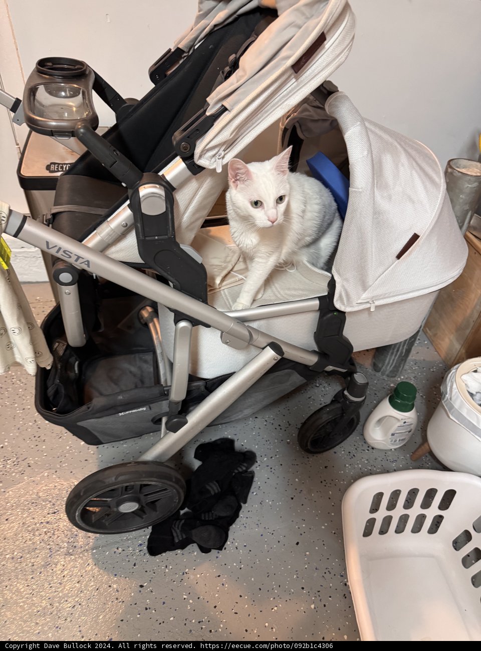 Lucy’s Ingenious Adventure
