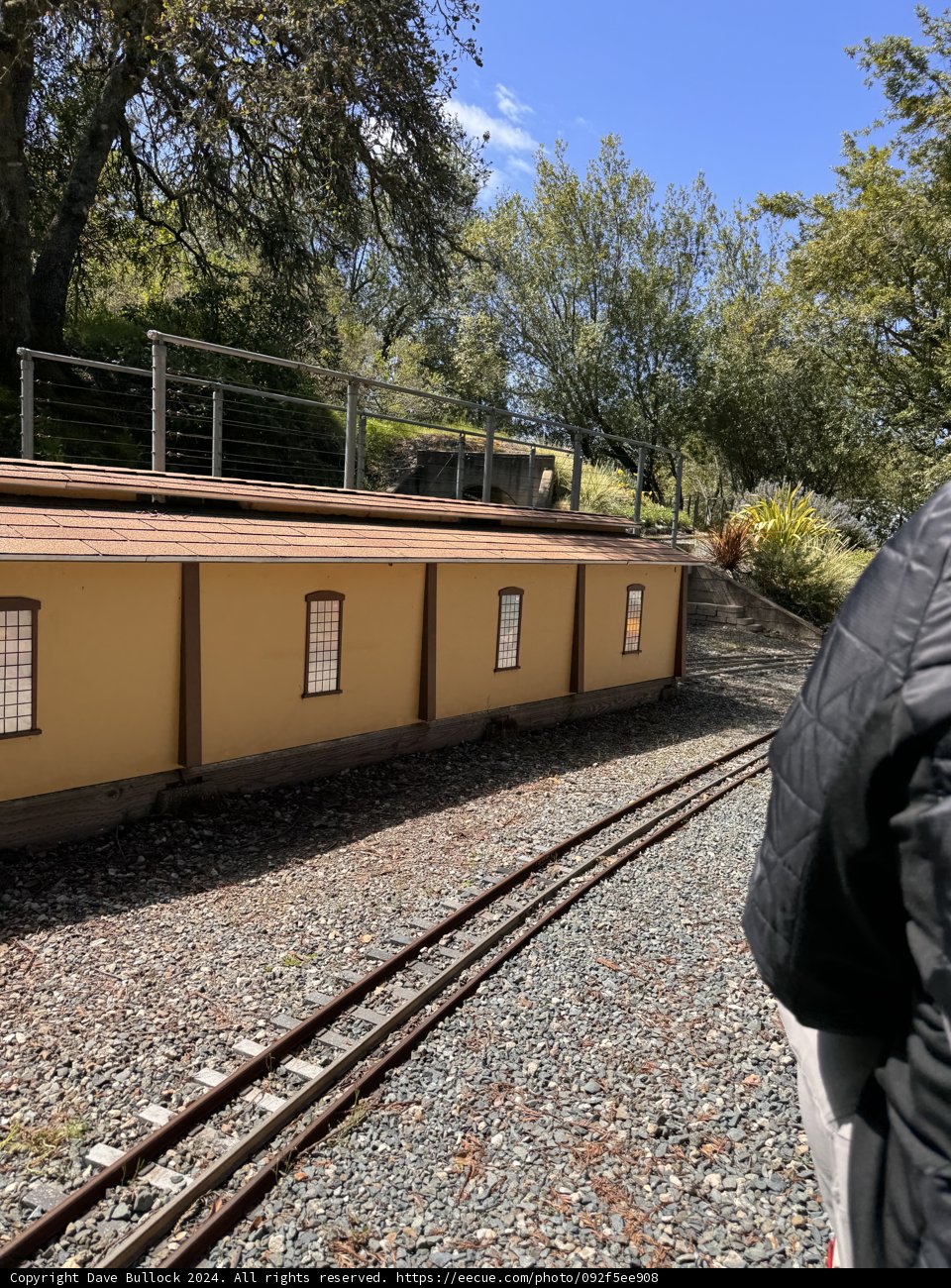 Morning Stroll by the Tracks