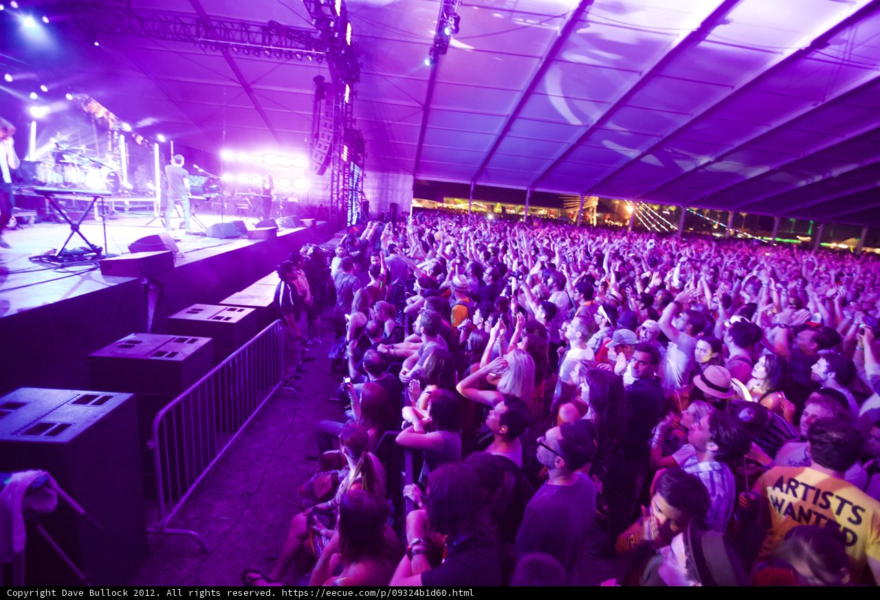 Purple Haze