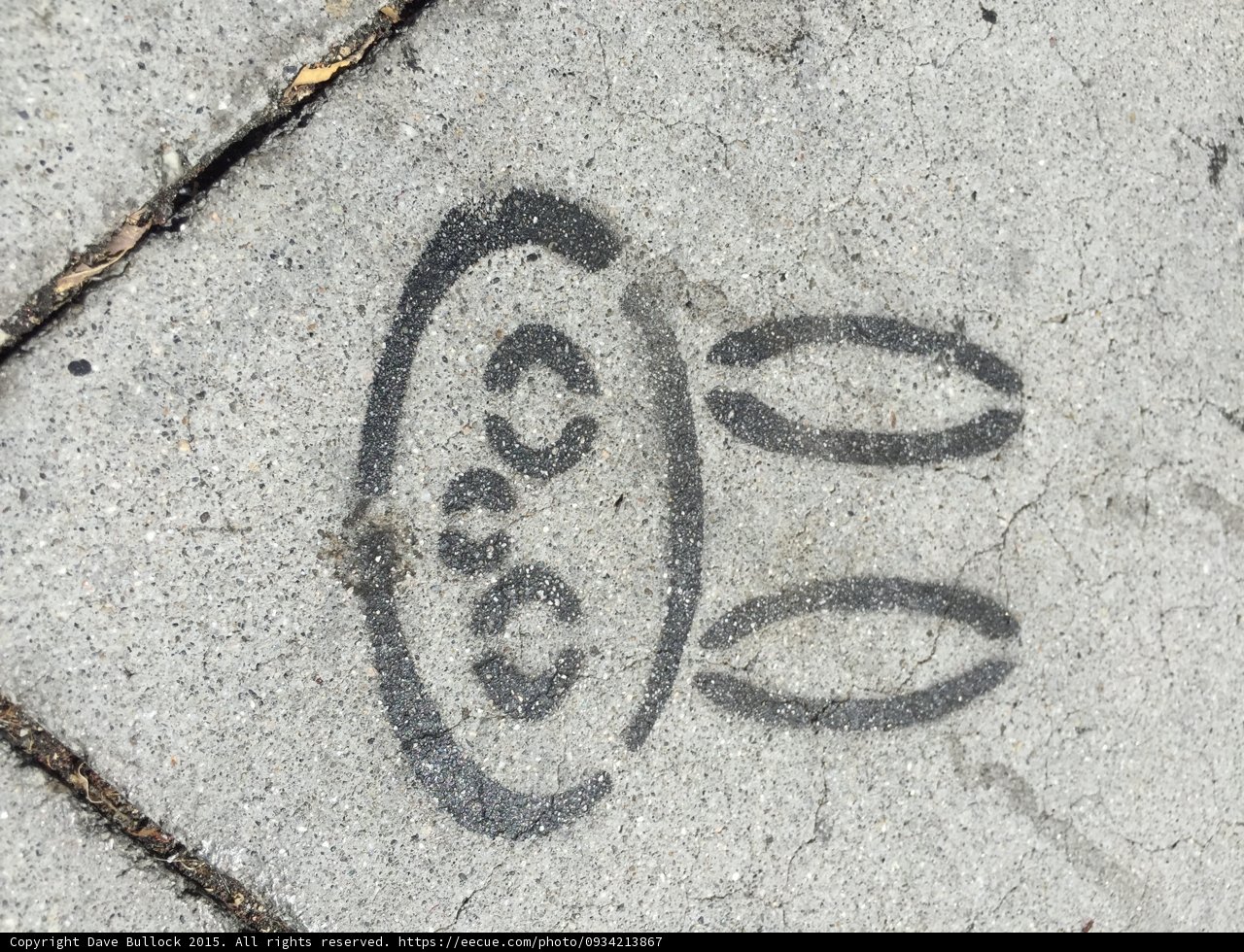 Hopscotch Bunny