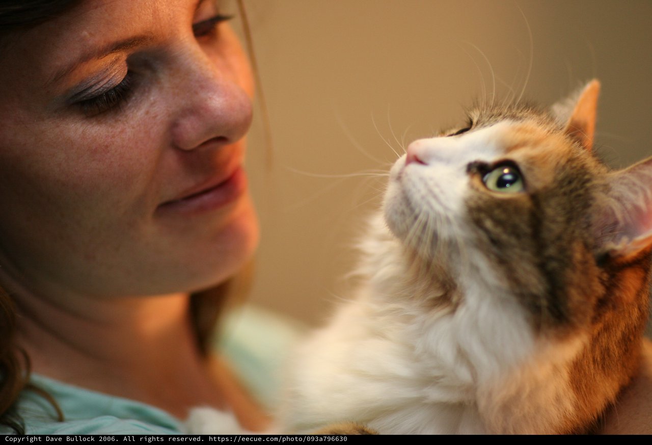 Tender Moment Between Woman and Fluffy Cat