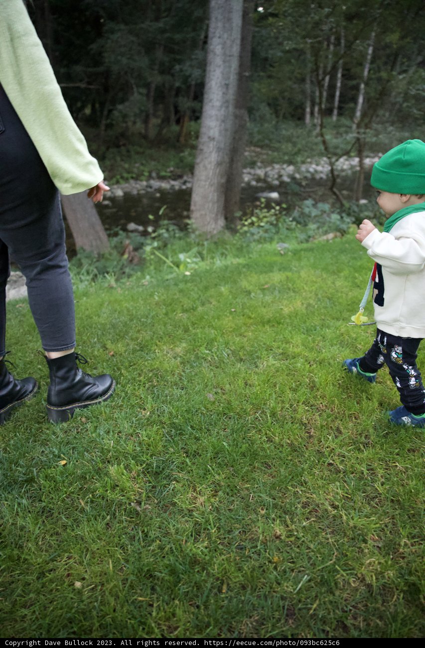 Big Sur Adventure: A Child's Connection with Nature