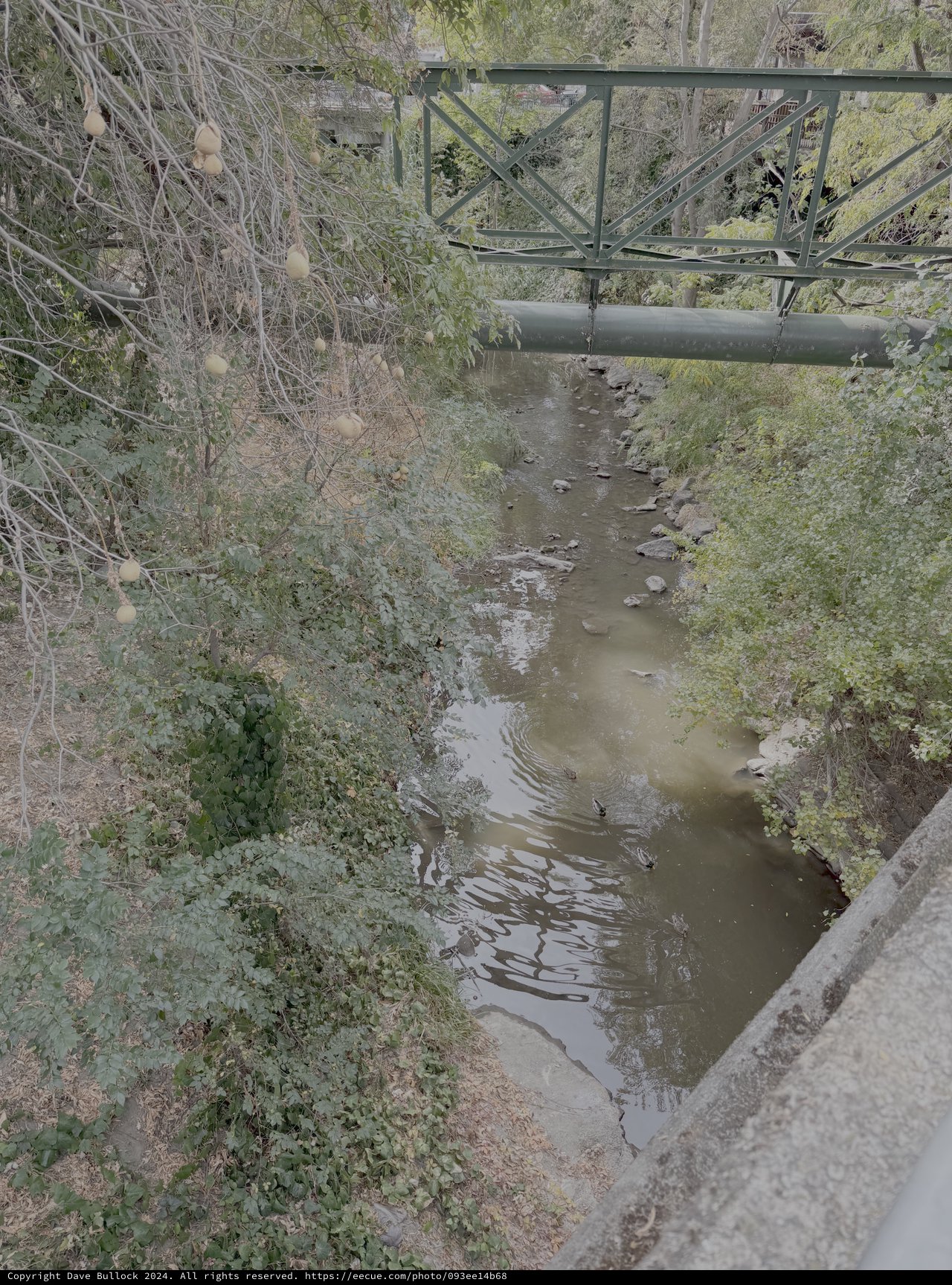 Urban Creek Flowing Under Metal Bridge Infrastructure