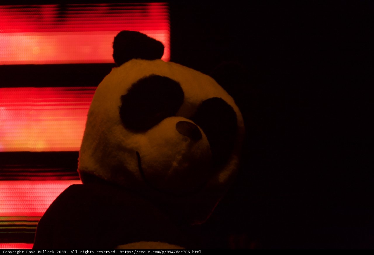 A Night with the Panda Mascot at Coachella