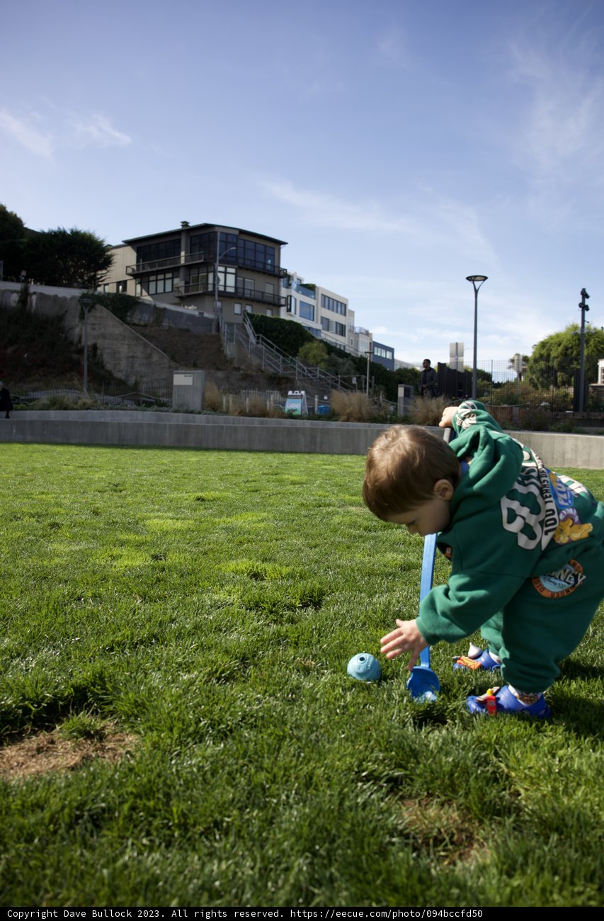 A Day at the Park: Wesley and the Frisbee
