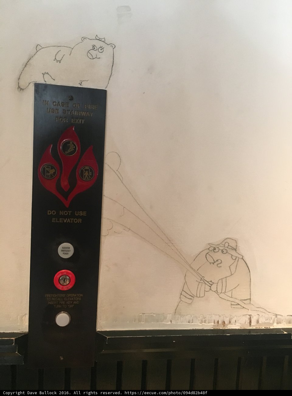 The Fireman and the Bear